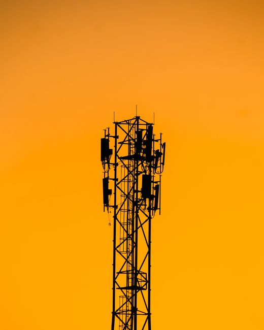 pexels 12571183